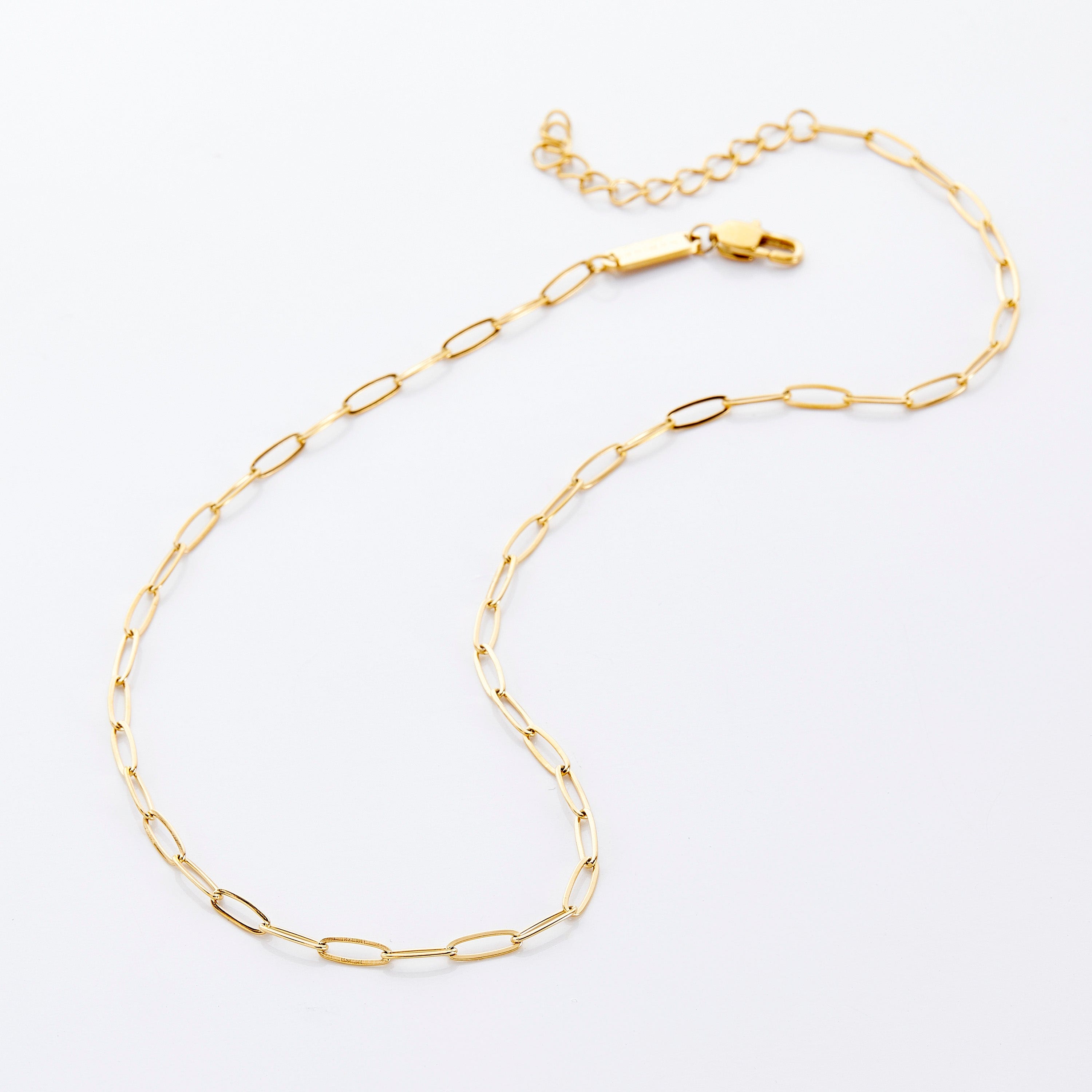 Close-up of the Timeless Link Chain Necklace showcasing its hollow oval-shaped links.