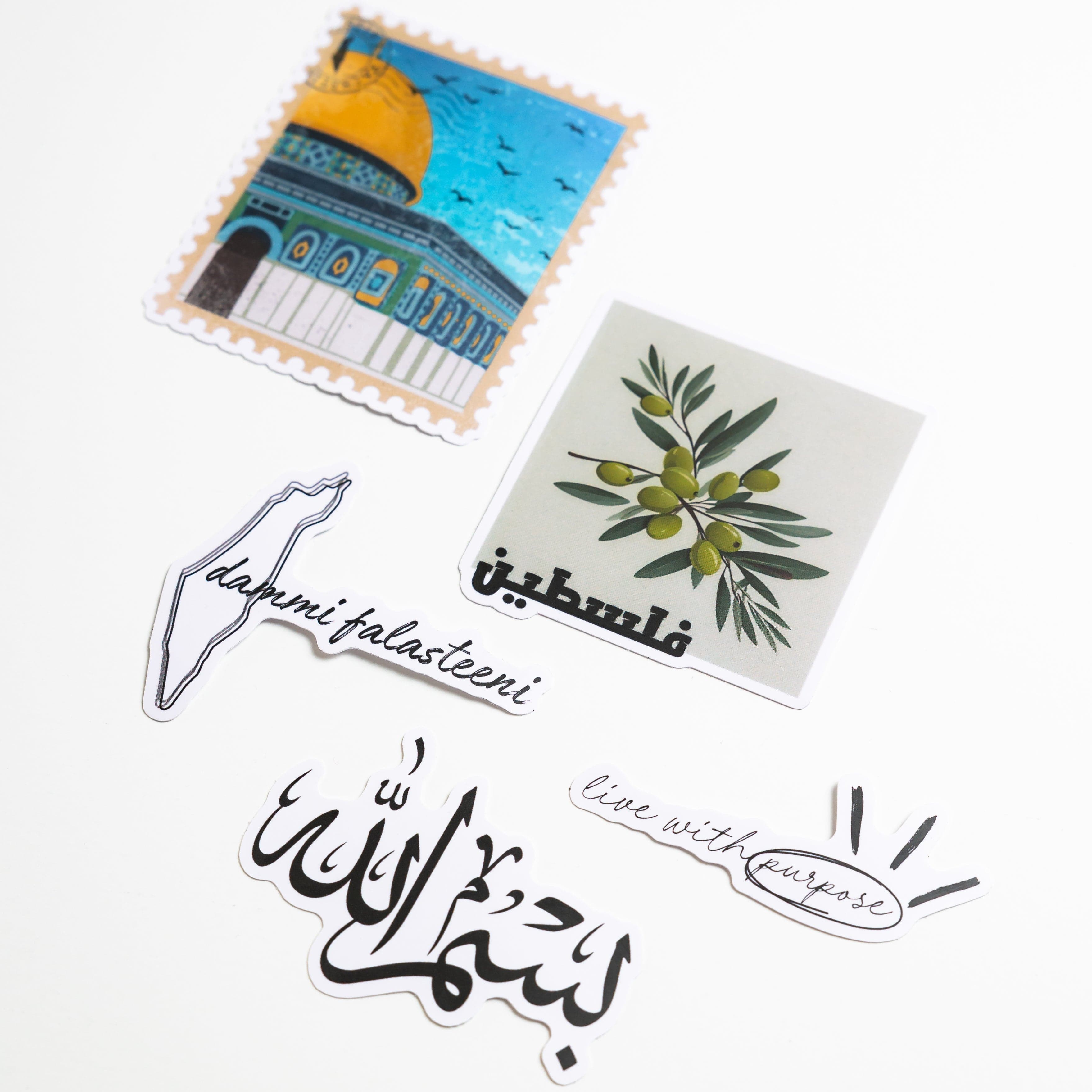 Dammi Falasteeni sticker with map shape representing unity