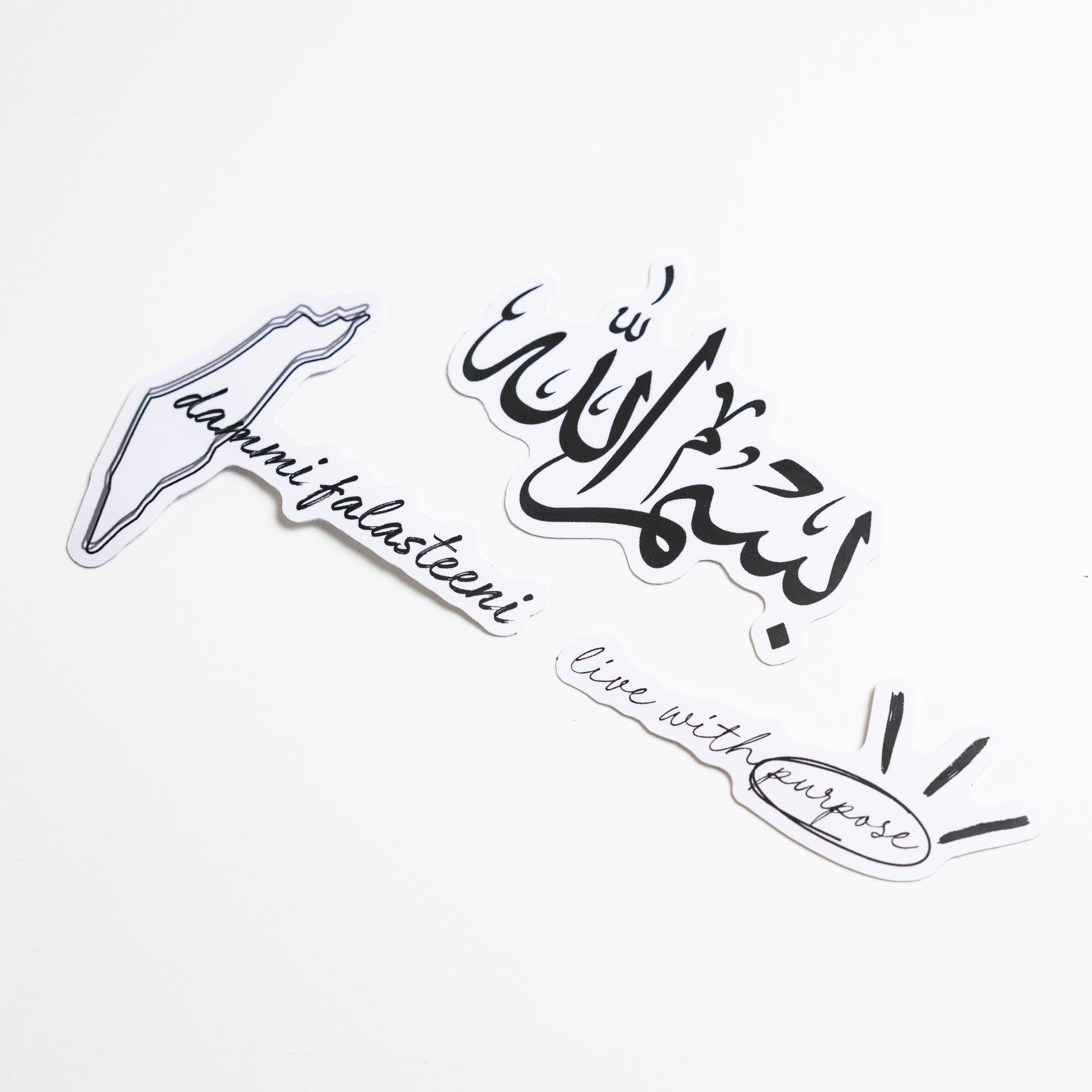 Dammi Falasteeni sticker with map shape representing unity