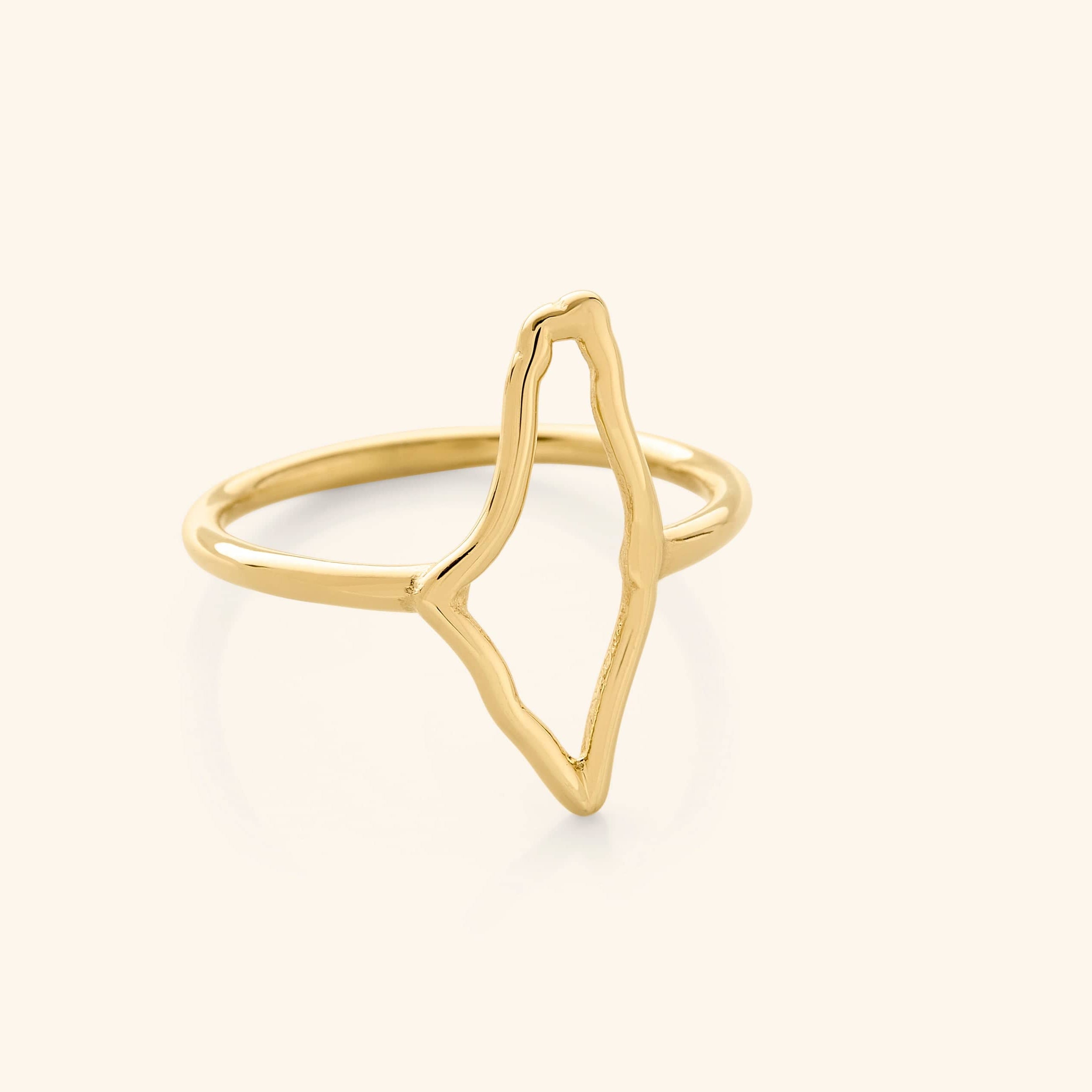 Side view of the Cultural Pride Gold Plated Ring, showcasing intricate details and craftsmanship.